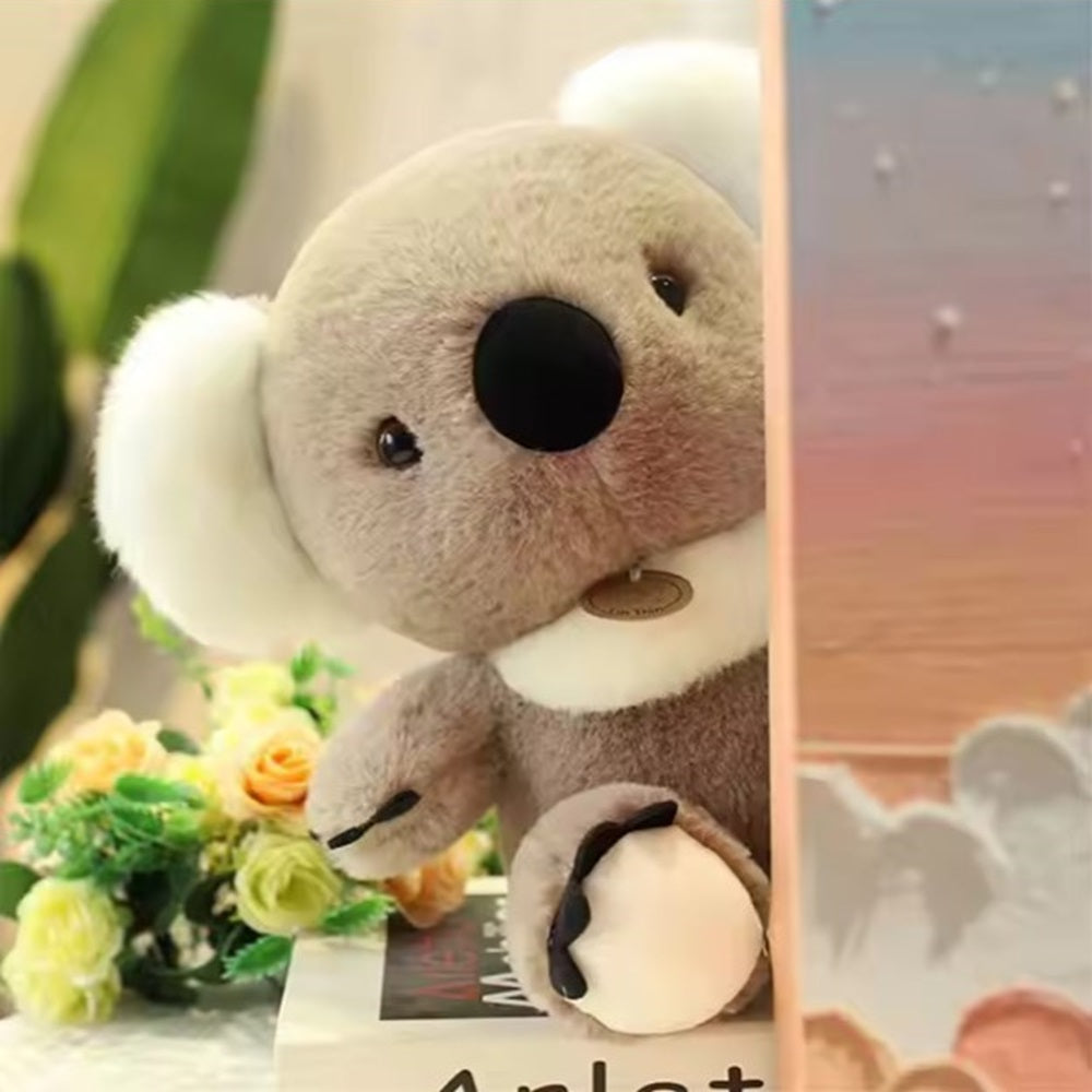 koala-soft-toy-valentines-gift