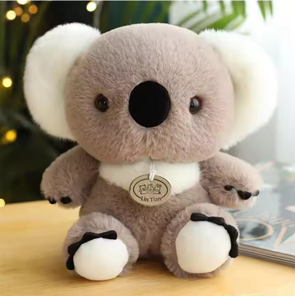 koala-soft-toy-front-view