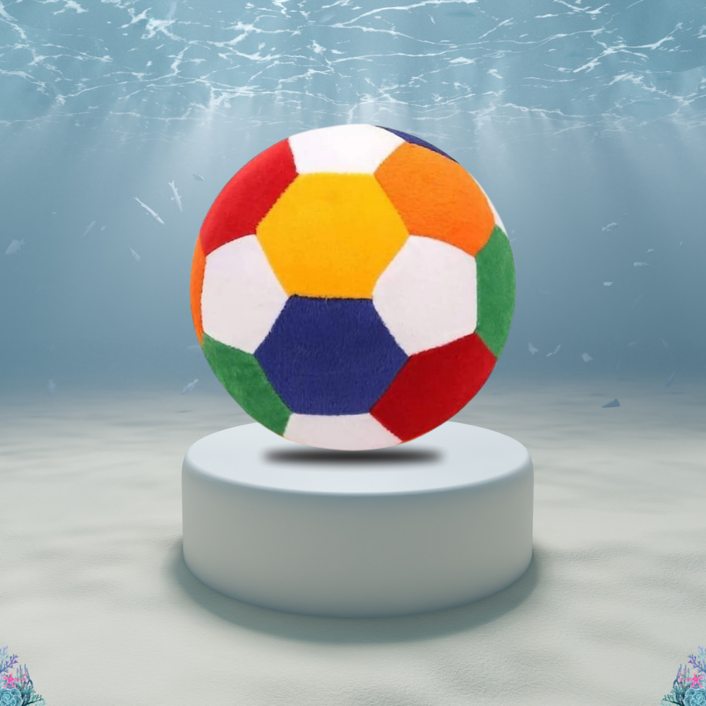 Big Football Soft Toy