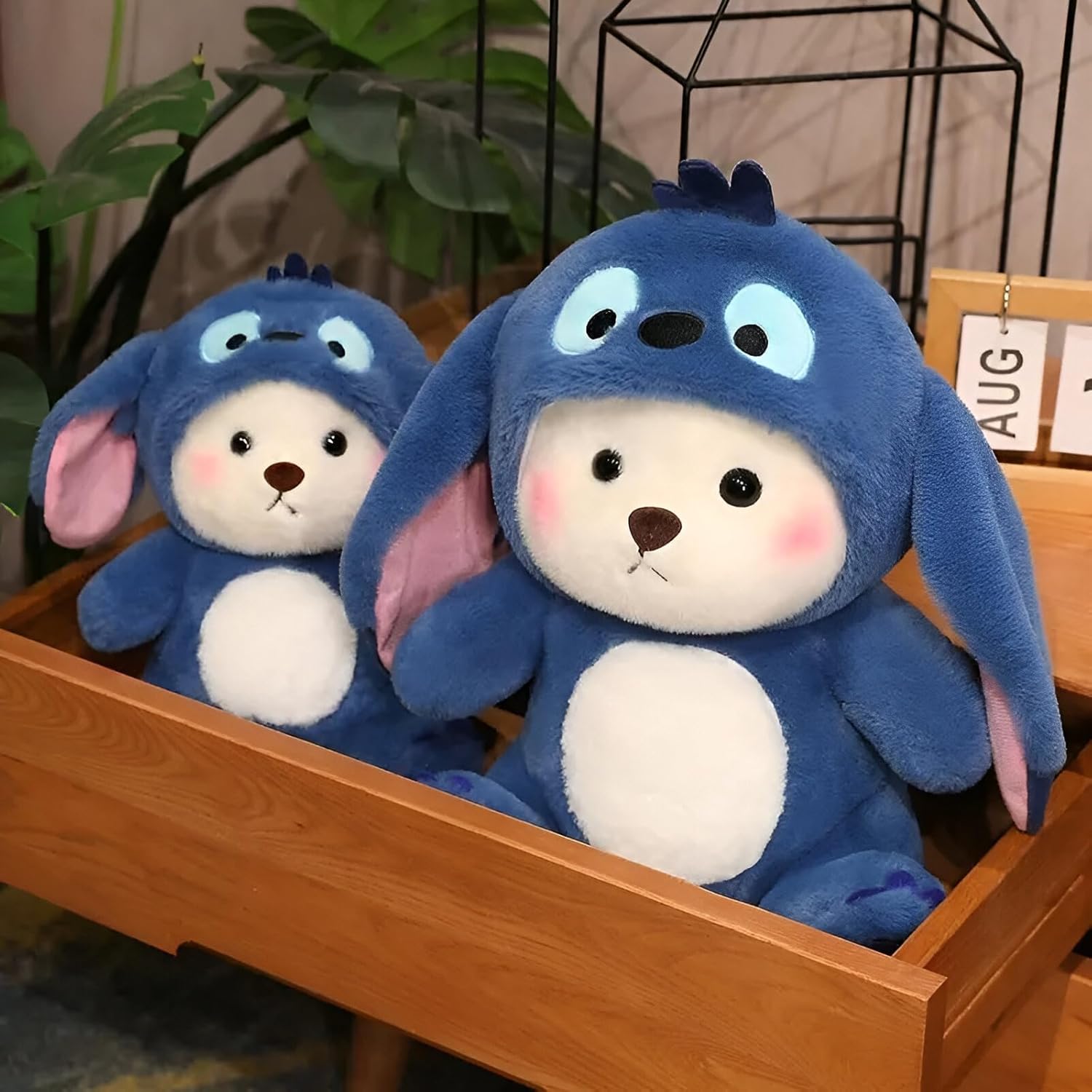 Teddy bear with cap